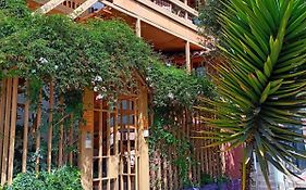 Villa Betty B&B